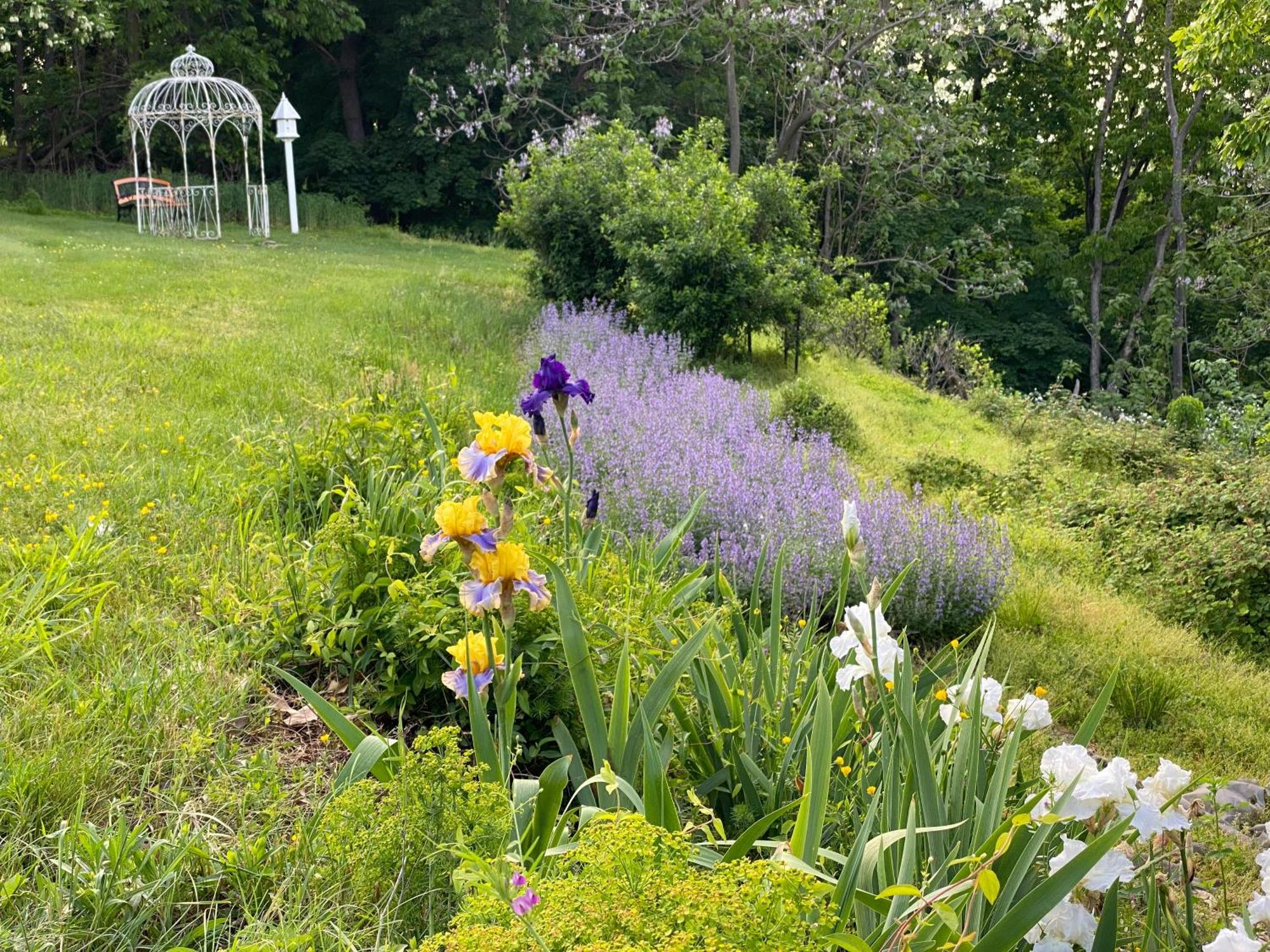 La Soledad Lavender Farm And Guesthouse Harpers Ferry Exteriör bild